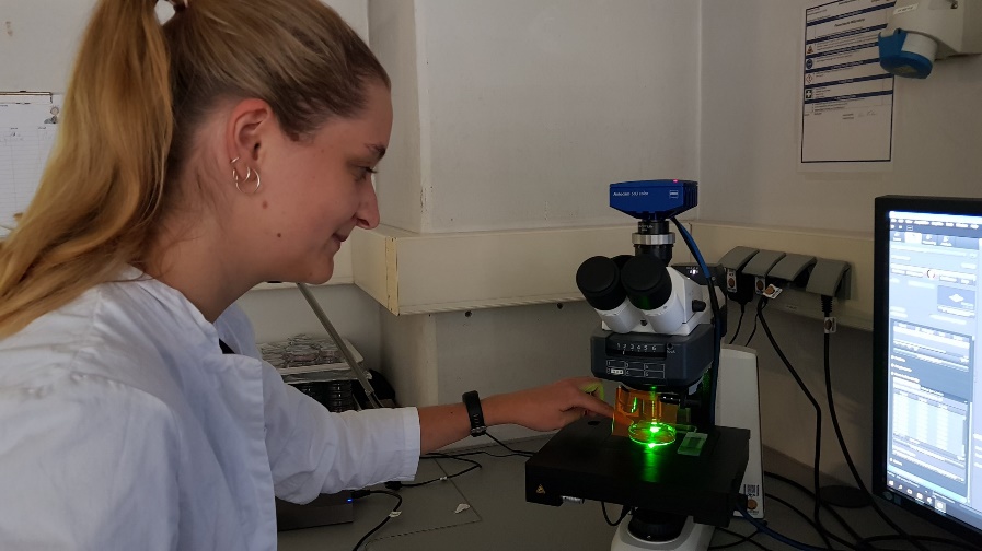 Sử dụng kính hiển vi huỳnh quang trong nghiên cứu hạt vi nhựa