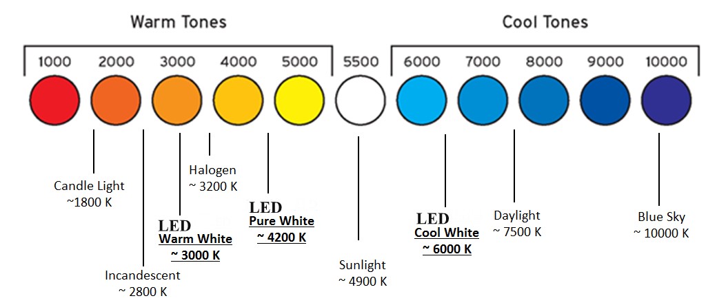 Bạn sẽ chọn đèn LED hay Halogen cho kính hiển vi của bạn?